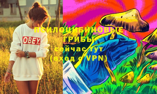 2c-b Михайлов