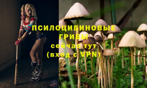 2c-b Михайлов