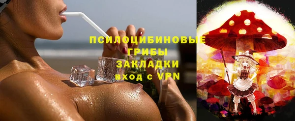 2c-b Михайлов