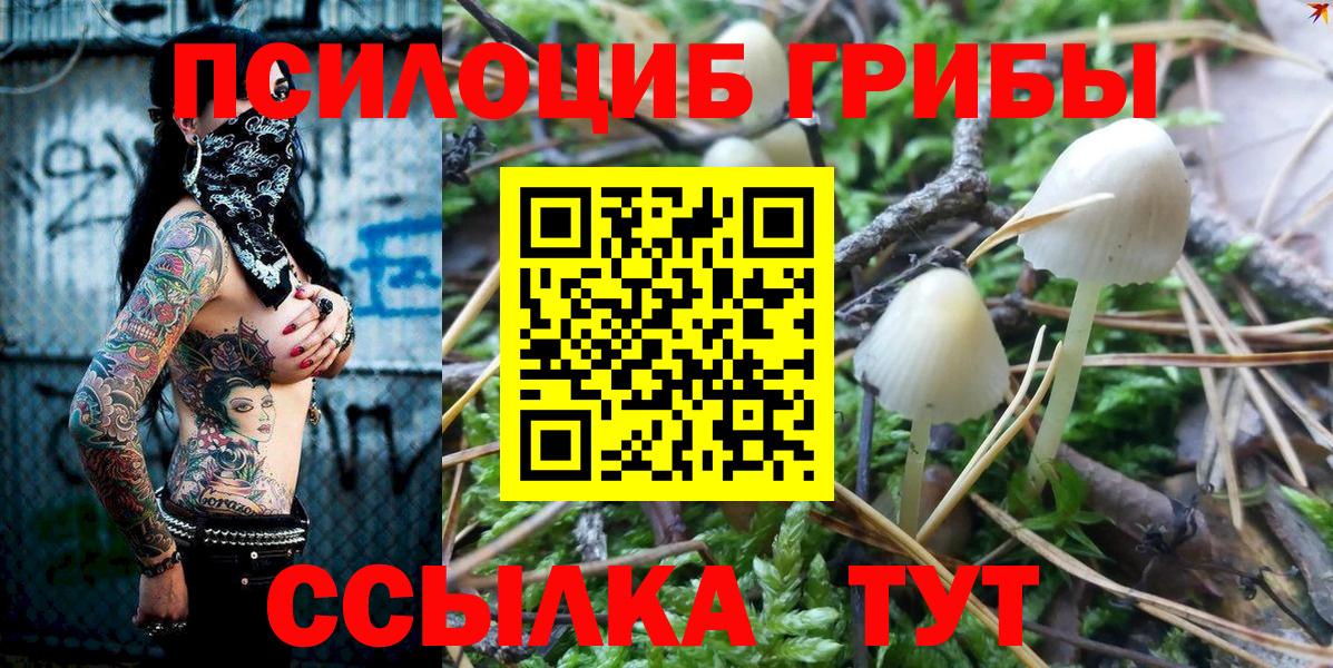 Фролово  Псилоцибиновые грибы прущие грибы  Вход с VPN 