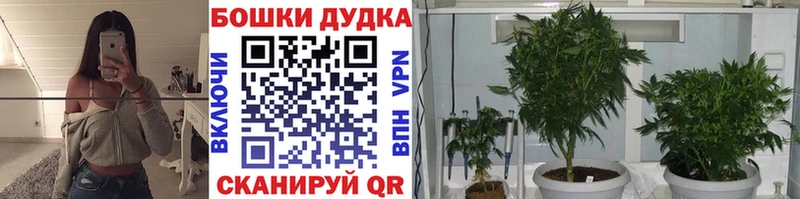 Каннабис тримм  сайты даркнета какой сайт  Фролово 